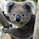 สมาชิกหมายเลข 3790506