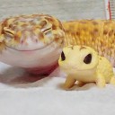 สมาชิกหมายเลข 3879712