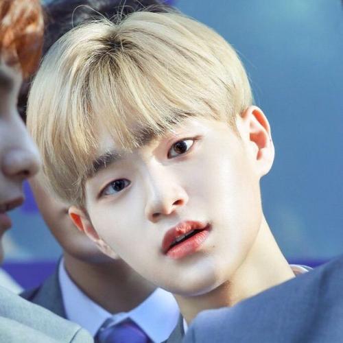 สมาชิกหมายเลข 3016350