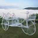 สมาชิกหมายเลข 4715020