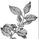 สมาชิกหมายเลข 3178820