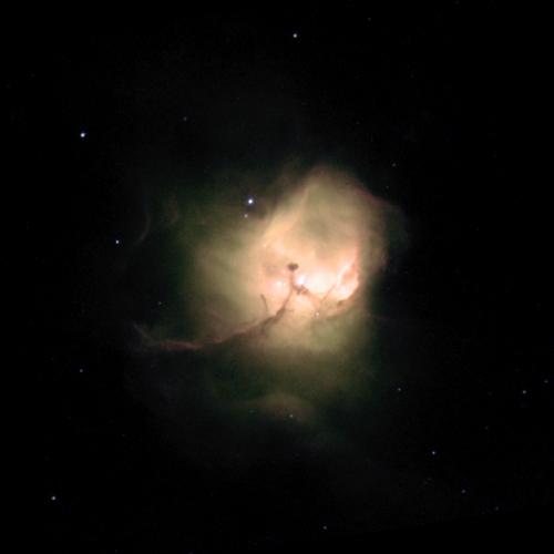 สมาชิกหมายเลข 2285390