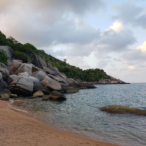 สมาชิกหมายเลข 5298564