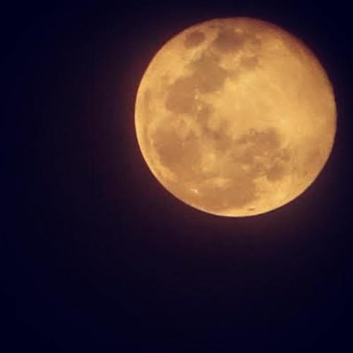 สมาชิกหมายเลข 6008667