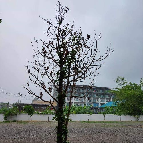 สมาชิกหมายเลข 5785349