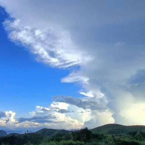 สมาชิกหมายเลข 7362136