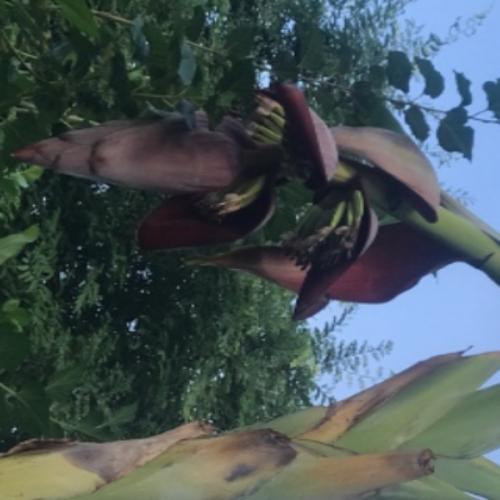 สมาชิกหมายเลข 7715100