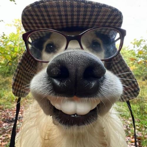 สมาชิกหมายเลข 8243199