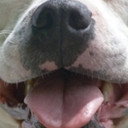 สมาชิกหมายเลข 2245326