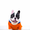 i fart on the first date