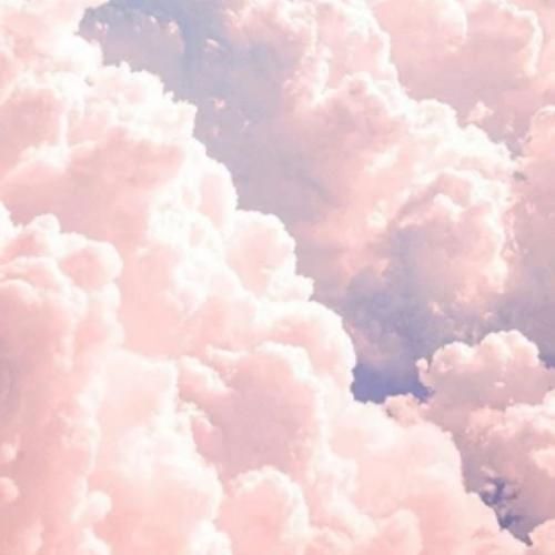 สมาชิกหมายเลข 5331083