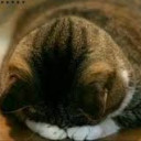 น้องเปิ้ลน่ารักจังเลยค่ะ