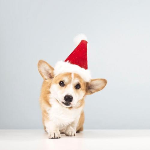 สมาชิกหมายเลข 826520