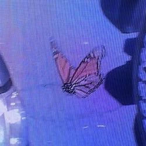 สมาชิกหมายเลข 6613665