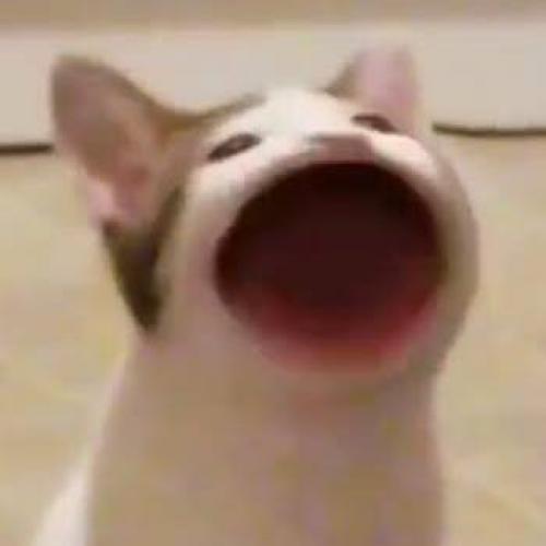 สมาชิกหมายเลข 821416