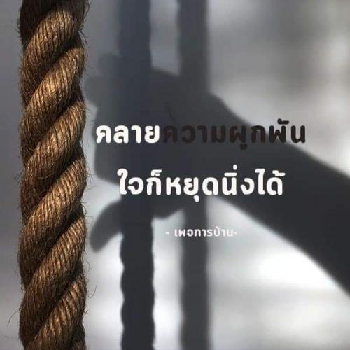 สมาชิกหมายเลข 4069562