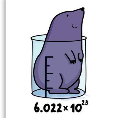 สมาชิกหมายเลข 7358191