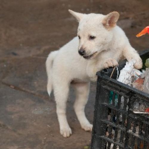 สมาชิกหมายเลข 3924813