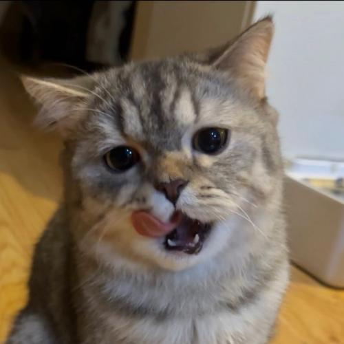 สมาชิกหมายเลข 7962029