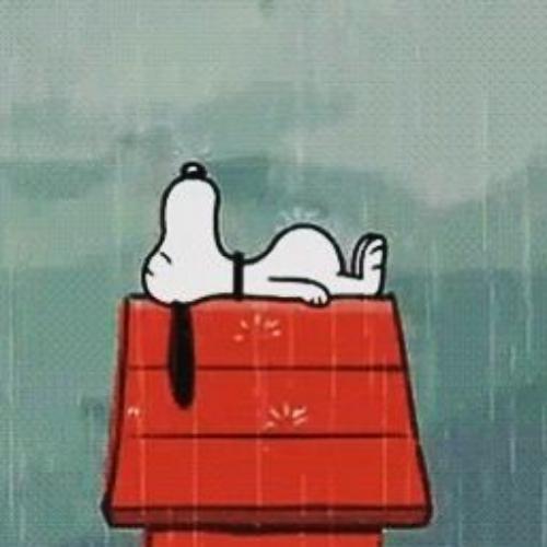 สมาชิกหมายเลข 8042553