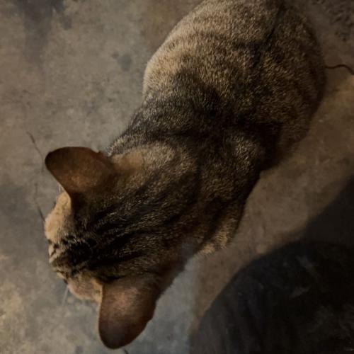 สมาชิกหมายเลข 9053141