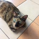 สมาชิกหมายเลข 3493720