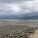 คุ้กกี้เสี่ยงทาย