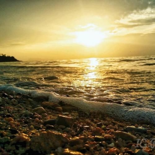 สมาชิกหมายเลข 2268550