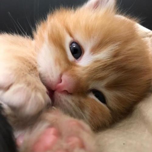 สมาชิกหมายเลข 5883198