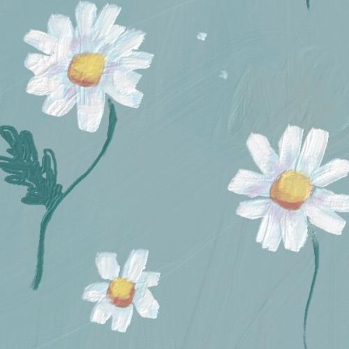 สมาชิกหมายเลข 6604098