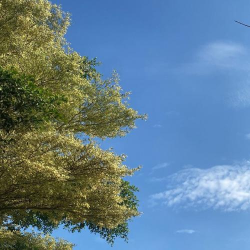 สมาชิกหมายเลข 9235410