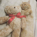 สมาชิกหมายเลข 3369054