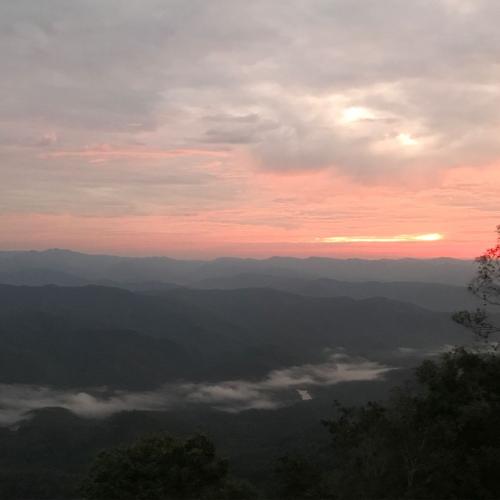 แมวน้อยเคมี