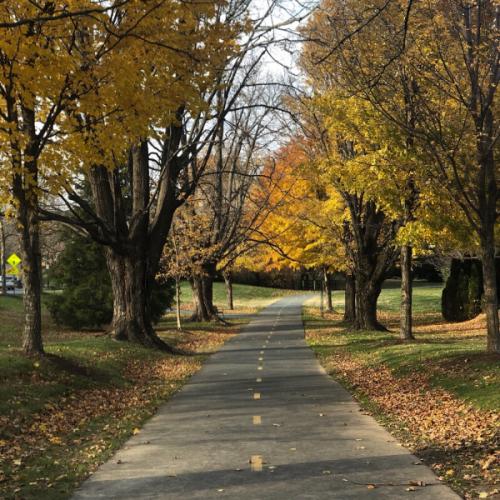 สมาชิกหมายเลข 3754373