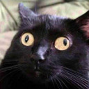 สมาชิกหมายเลข 5351585