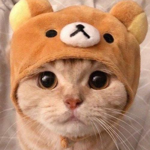 สมาชิกหมายเลข 3849843