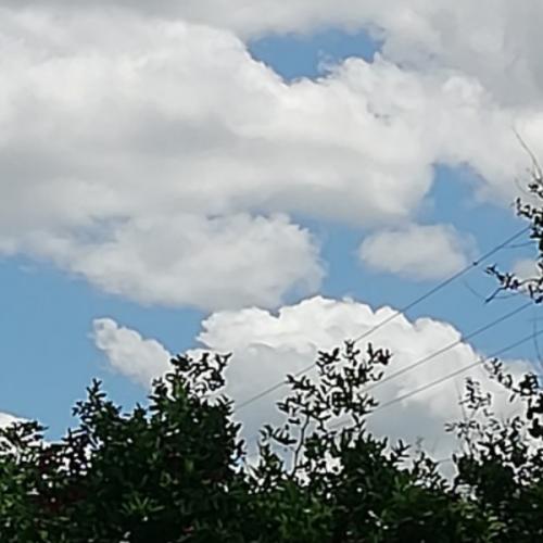 สมาชิกหมายเลข 4064870