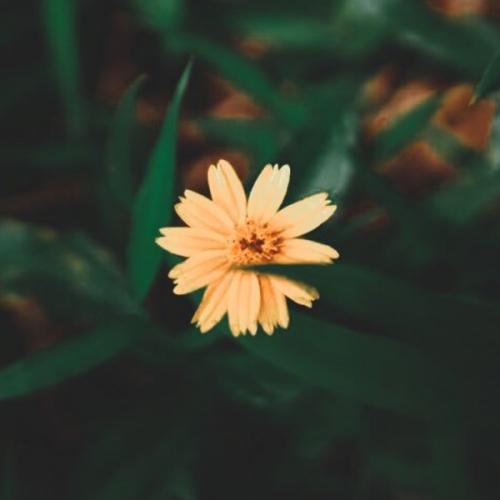 สมาชิกหมายเลข 6010533