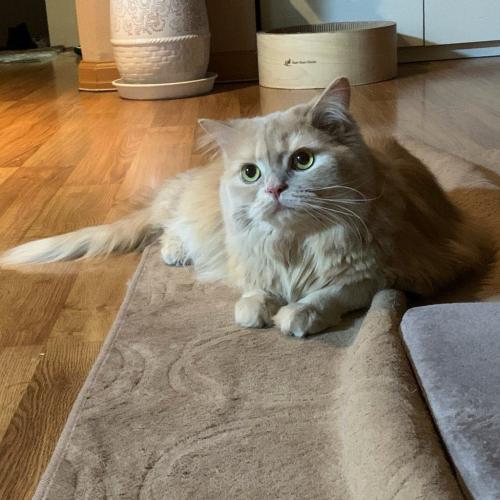 สมาชิกหมายเลข 6624134