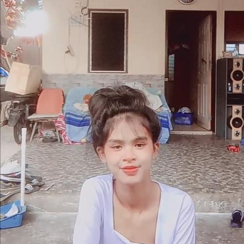 สมาชิกหมายเลข 7365041