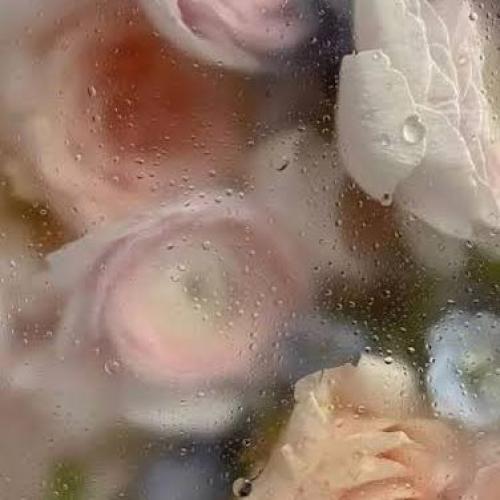 สมาชิกหมายเลข 8246021