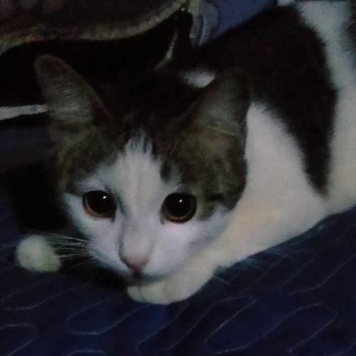 สมาชิกหมายเลข 8246022