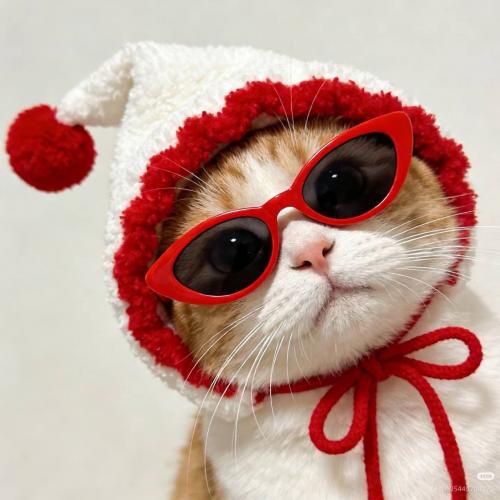 สมาชิกหมายเลข 2182241