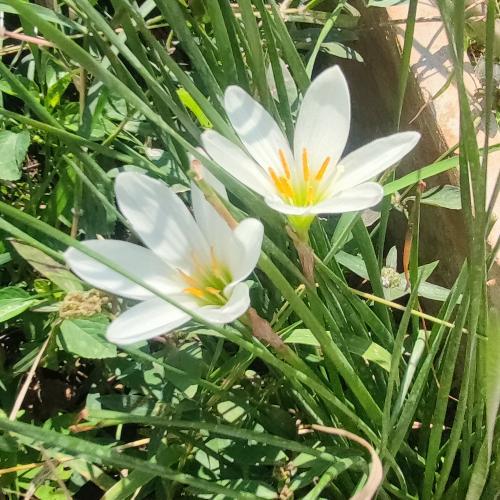 สมาชิกหมายเลข 9242355