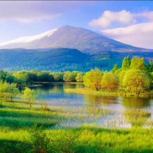 สมาชิกหมายเลข 4716457