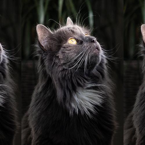 สมาชิกหมายเลข 3821612