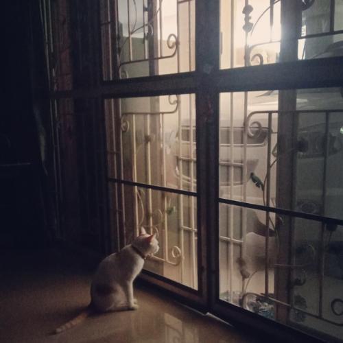 สมาชิกหมายเลข 6010698