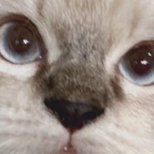 สมาชิกหมายเลข 7365772