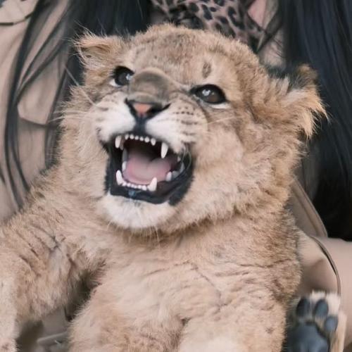 สมาชิกหมายเลข 5900919