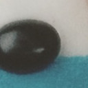 สมาชิกหมายเลข 4347303